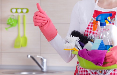 Local cleaner working in a family house near Putney