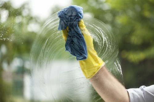 Careful rug cleaning process for delicate fibres in Putney