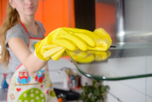 Invoice and payment details for a cleaning service