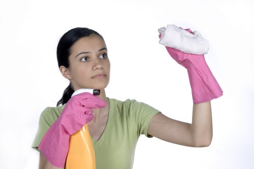 Carpet cleaning equipment being used in a Putney property