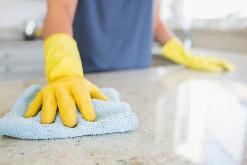 Deep cleaning treatment for pet urine stains on upholstery in a Putney home