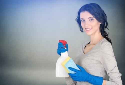 Putney domestic cleaning team handling a modern apartment interior