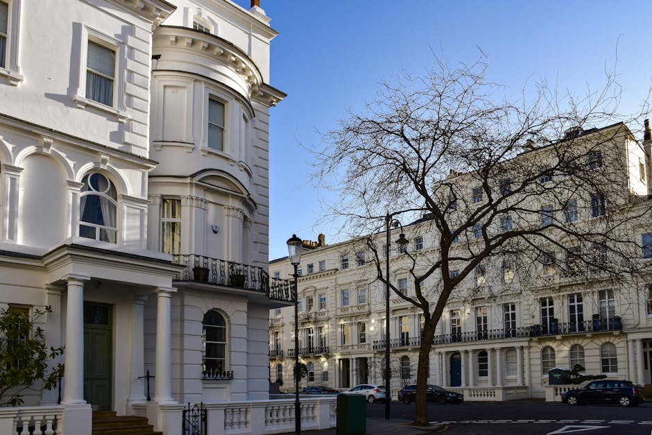 Image of a residential street in Putney featuring white multi-storey Victorian-style buildings with ornate architectural details, including arched windows and decorative moldings. The scene includes leafless trees lining the sidewalk, a classic street lamp, and parked cars along the curb. The buildings have clean facades with visible balconies and large windows, illuminated by bright sunlight under a clear blue sky, illustrating well-maintained and tidy exteriors. Cleaner Putney specializes in surface and deep cleaning services to maintain the cleanliness and hygiene of such residential properties.