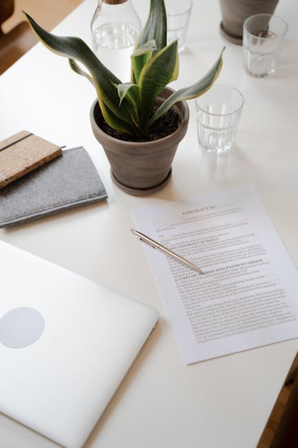 A neatly arranged office desk with a potted plant featuring broad, green, and variegated leaves at the center, surrounded by three clear drinking glasses that are empty. To the left of the plant, ther